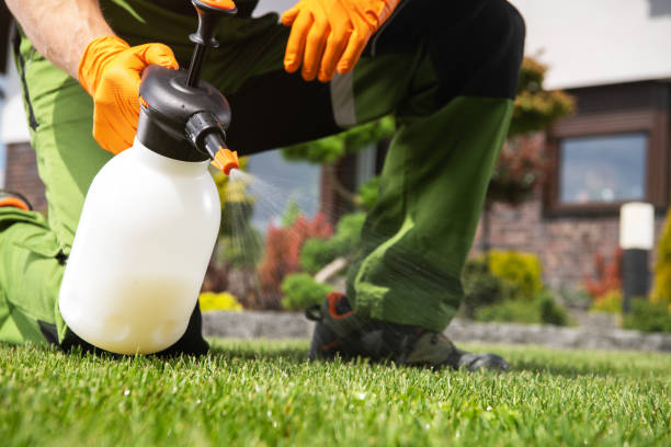 Best Exterminator Services  in Farmer City, IL