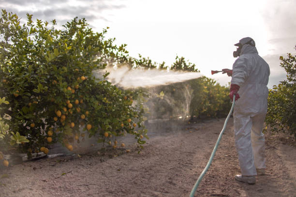 Best Pest Removal Services  in Farmer City, IL