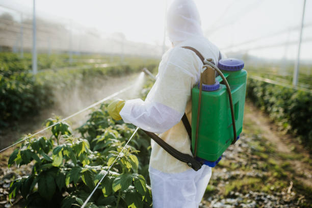 Best Pest Control Treatment  in Farmer City, IL